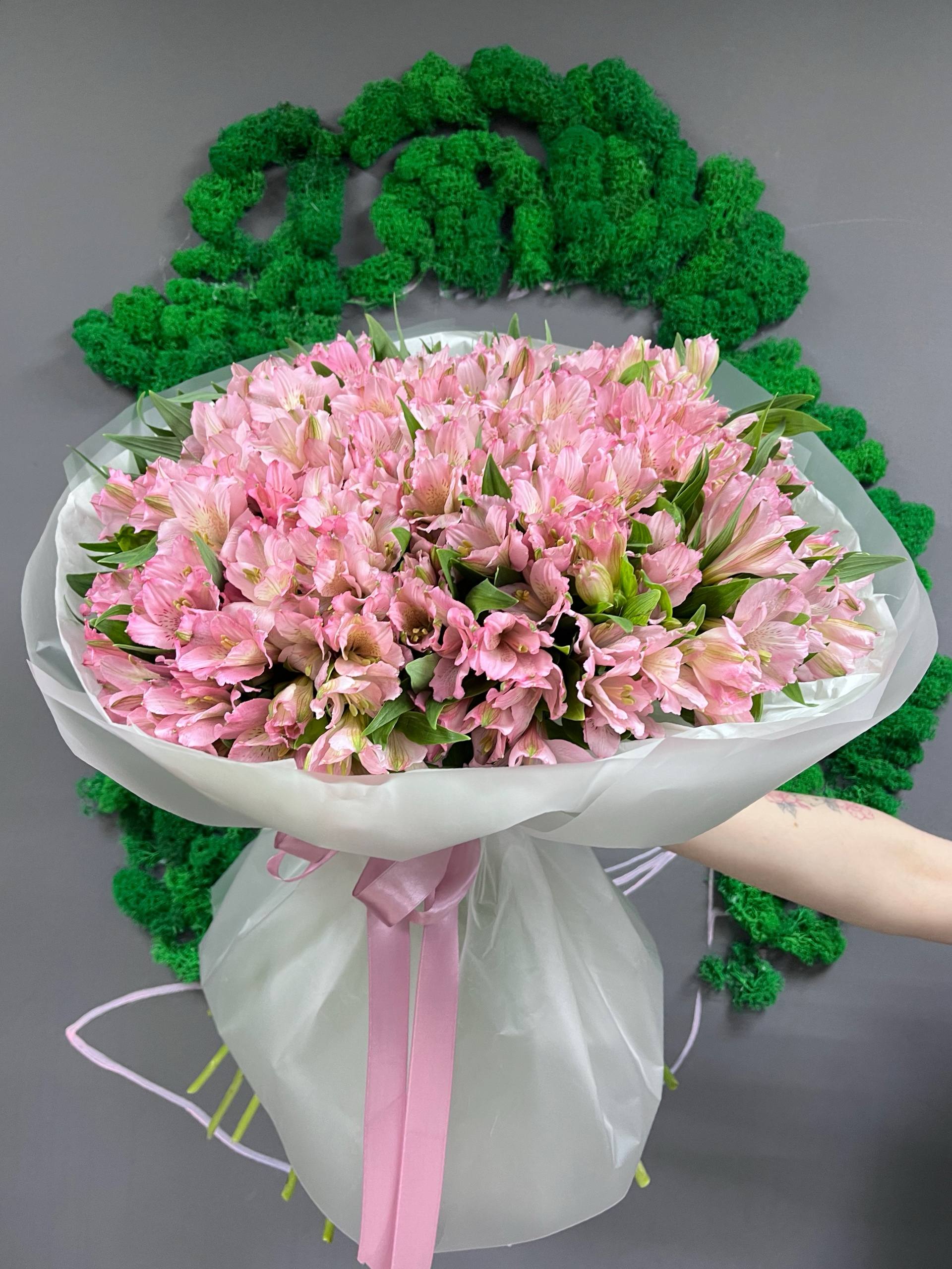 51 роз альстра