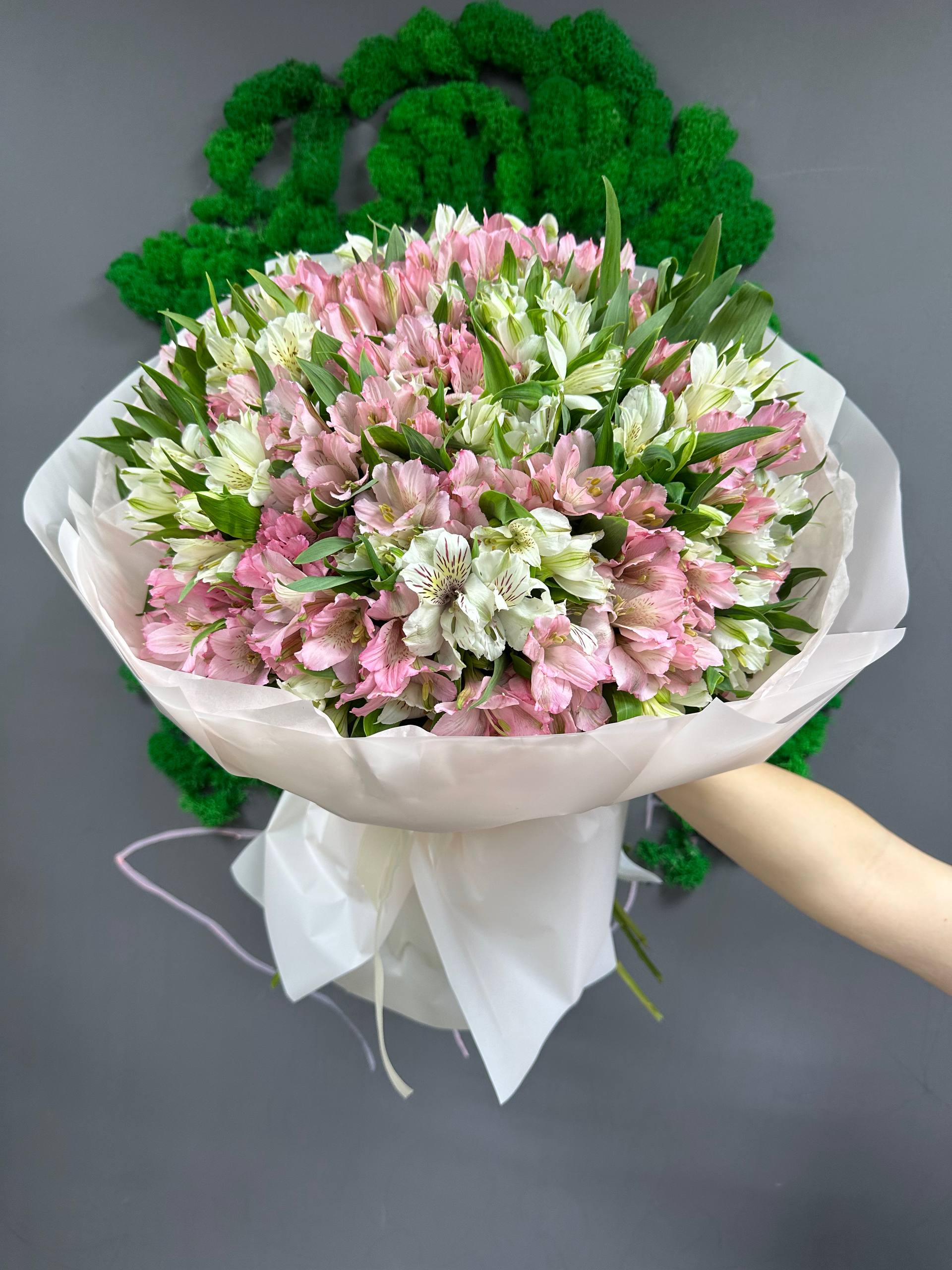 51 микс бел и роз альстры