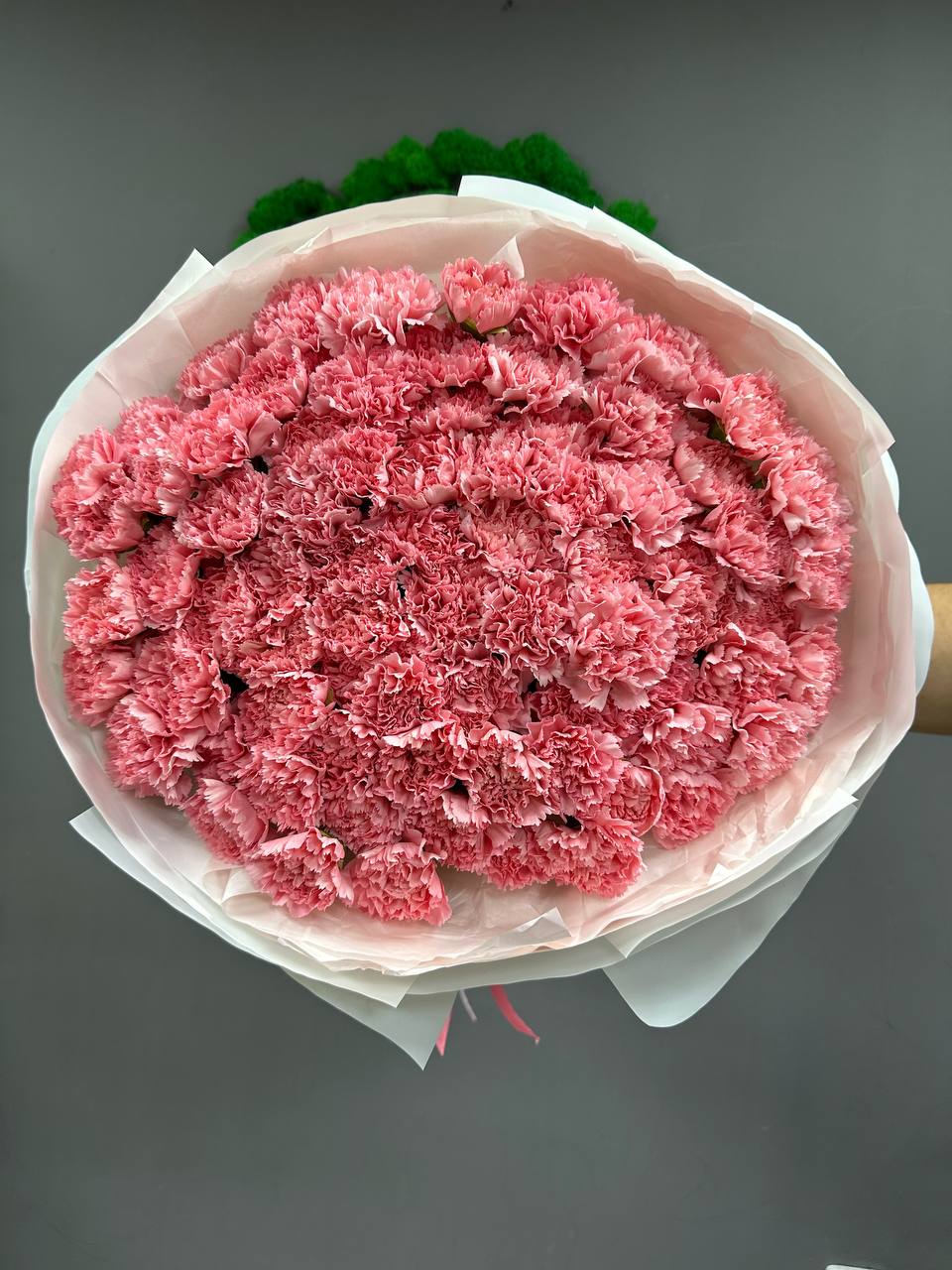 101 розовый диантус