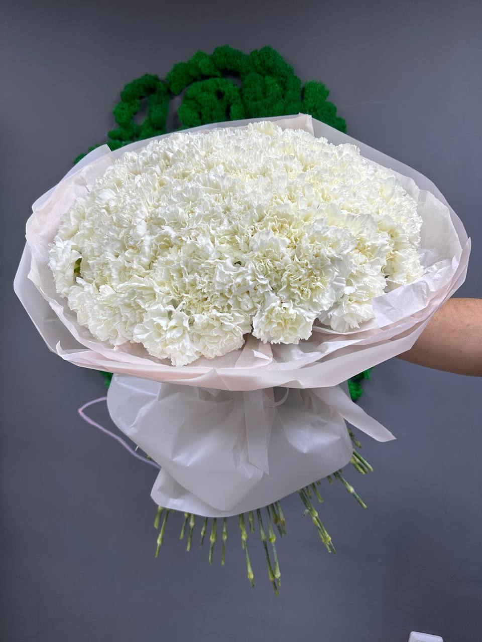 101 белый диантус