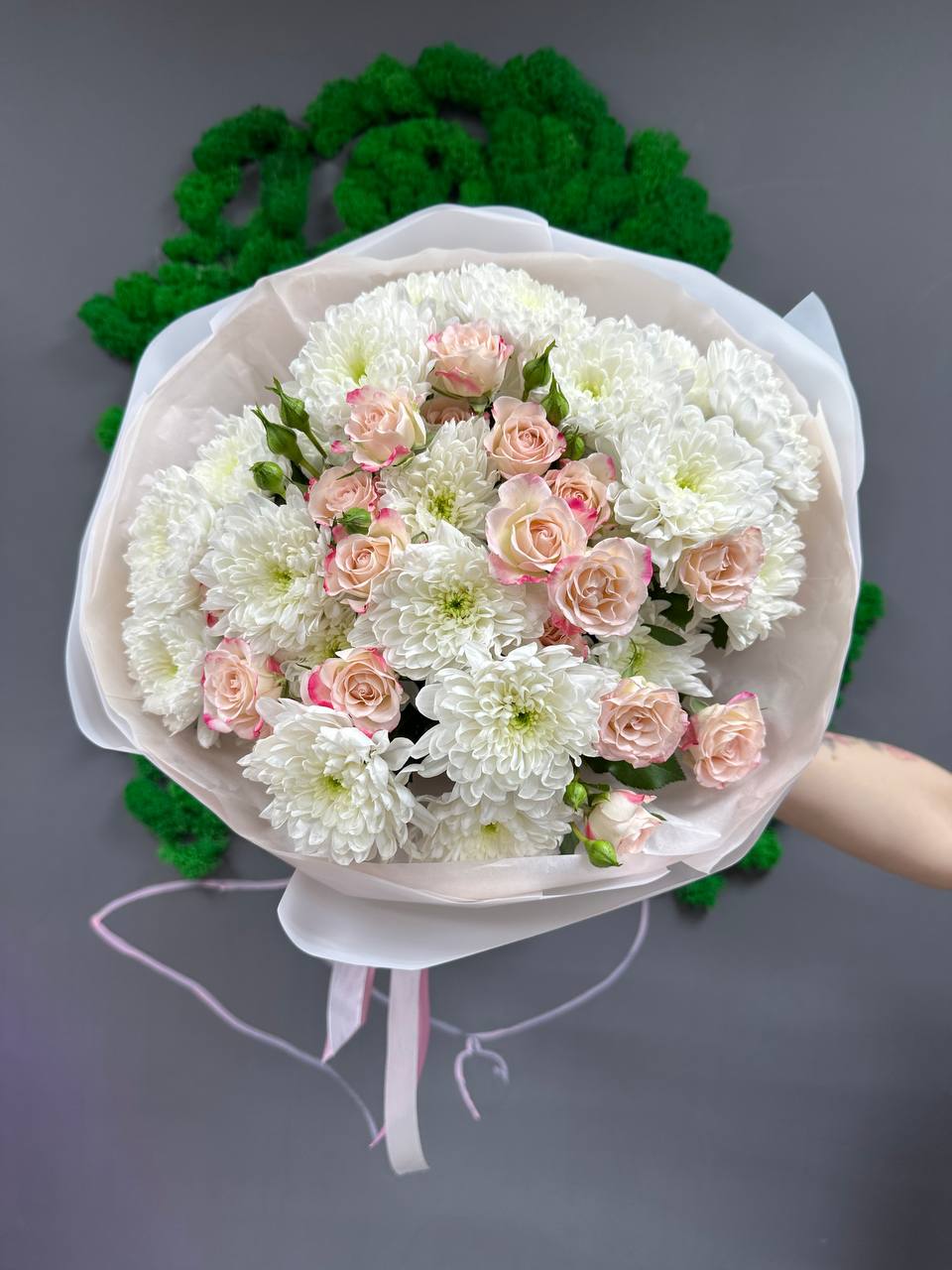 3 рефлекс 4 земблы